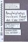 Etiketten zu Sawadapenthes singularis (NHMW-ZOO-COL-0010087)